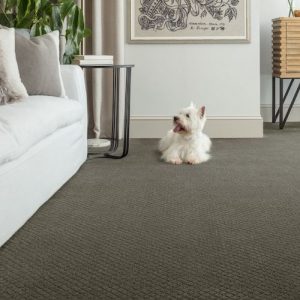 residential-carpet-vancouver